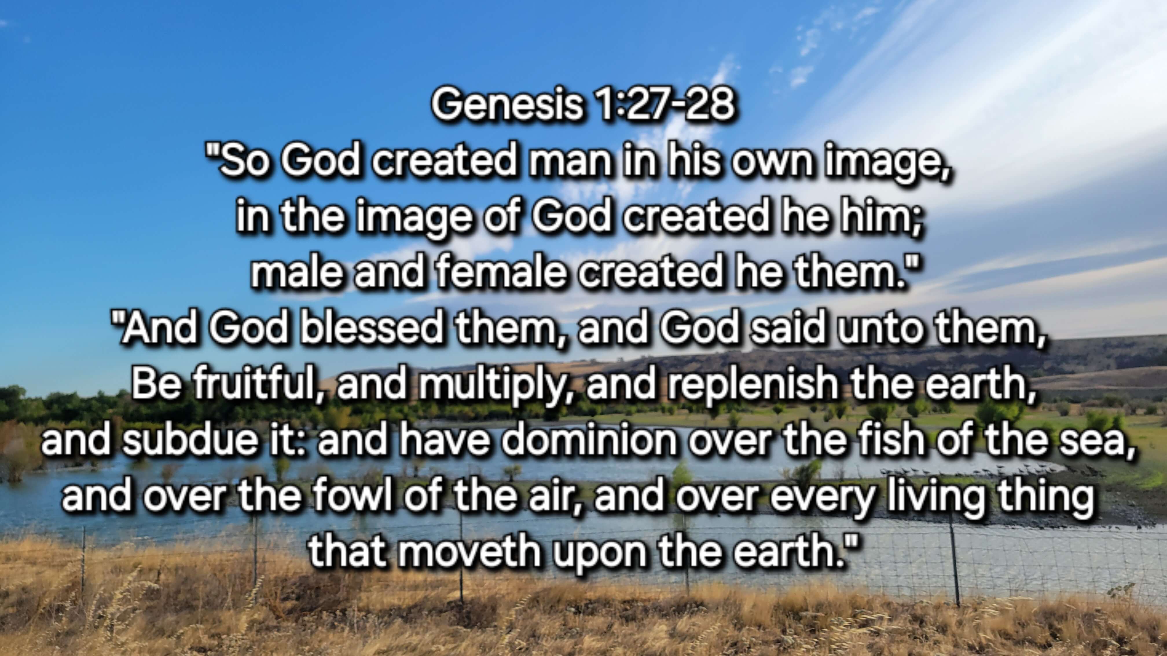 Genesis 1:27-28