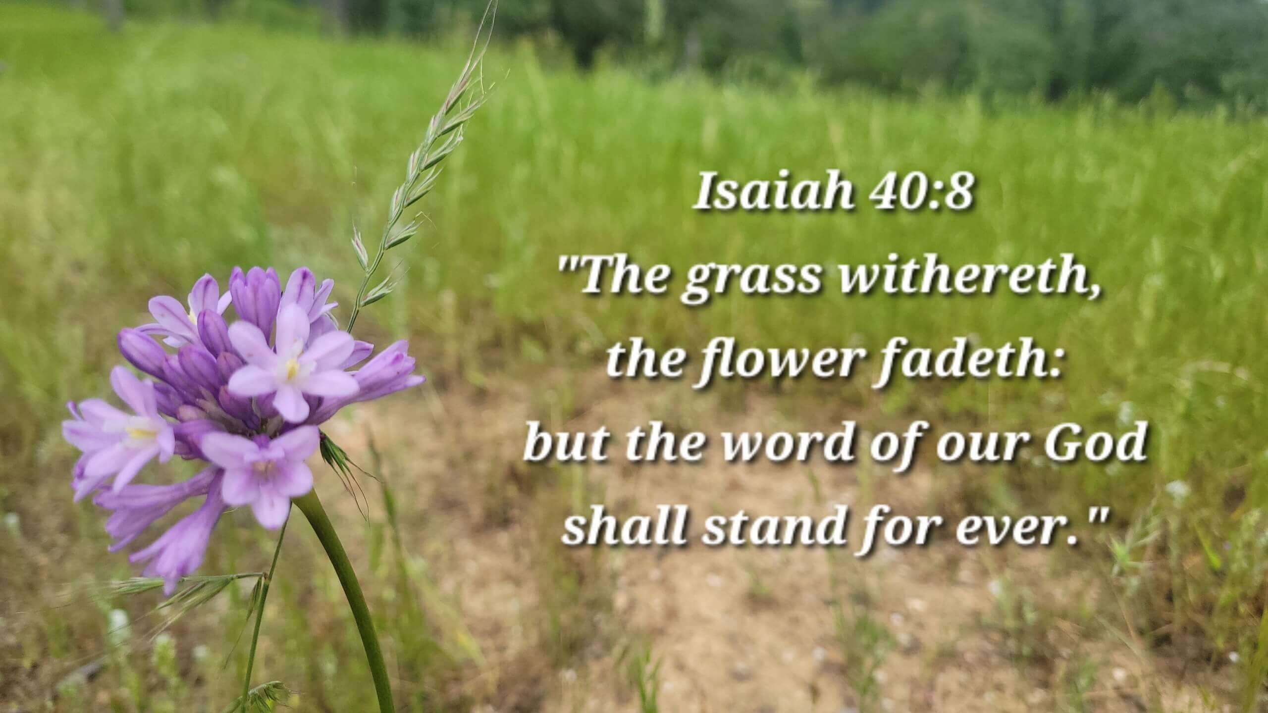 Isaiah 40:8