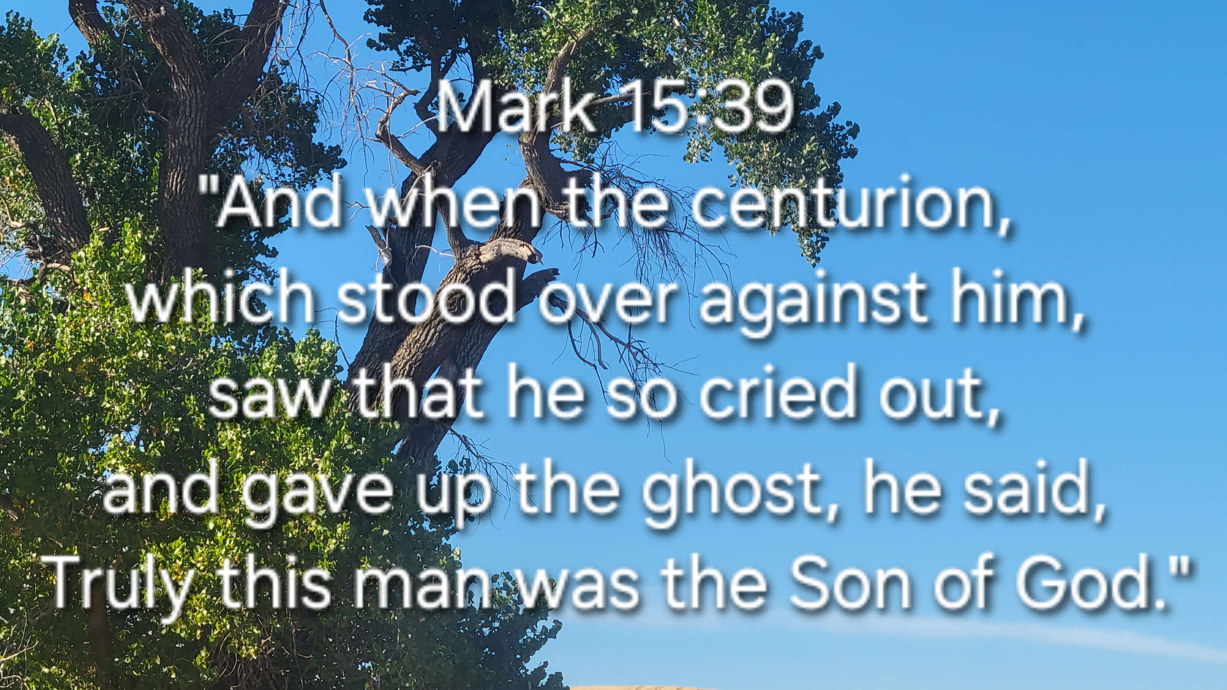 Mark 15:39