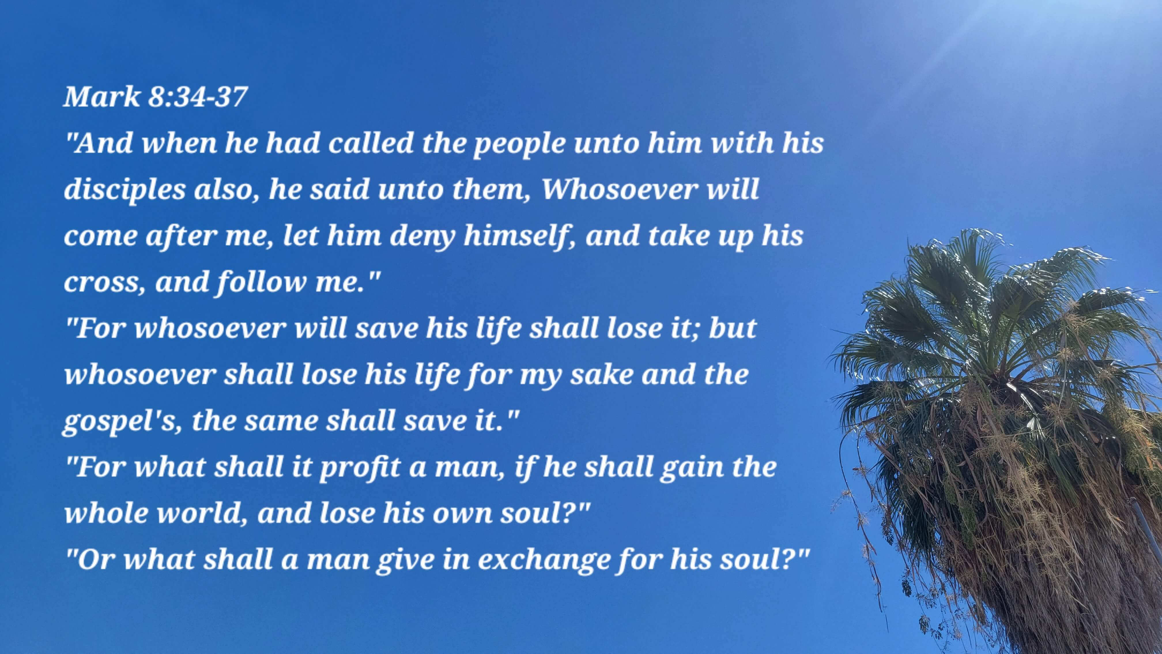 Mark 8:34-37