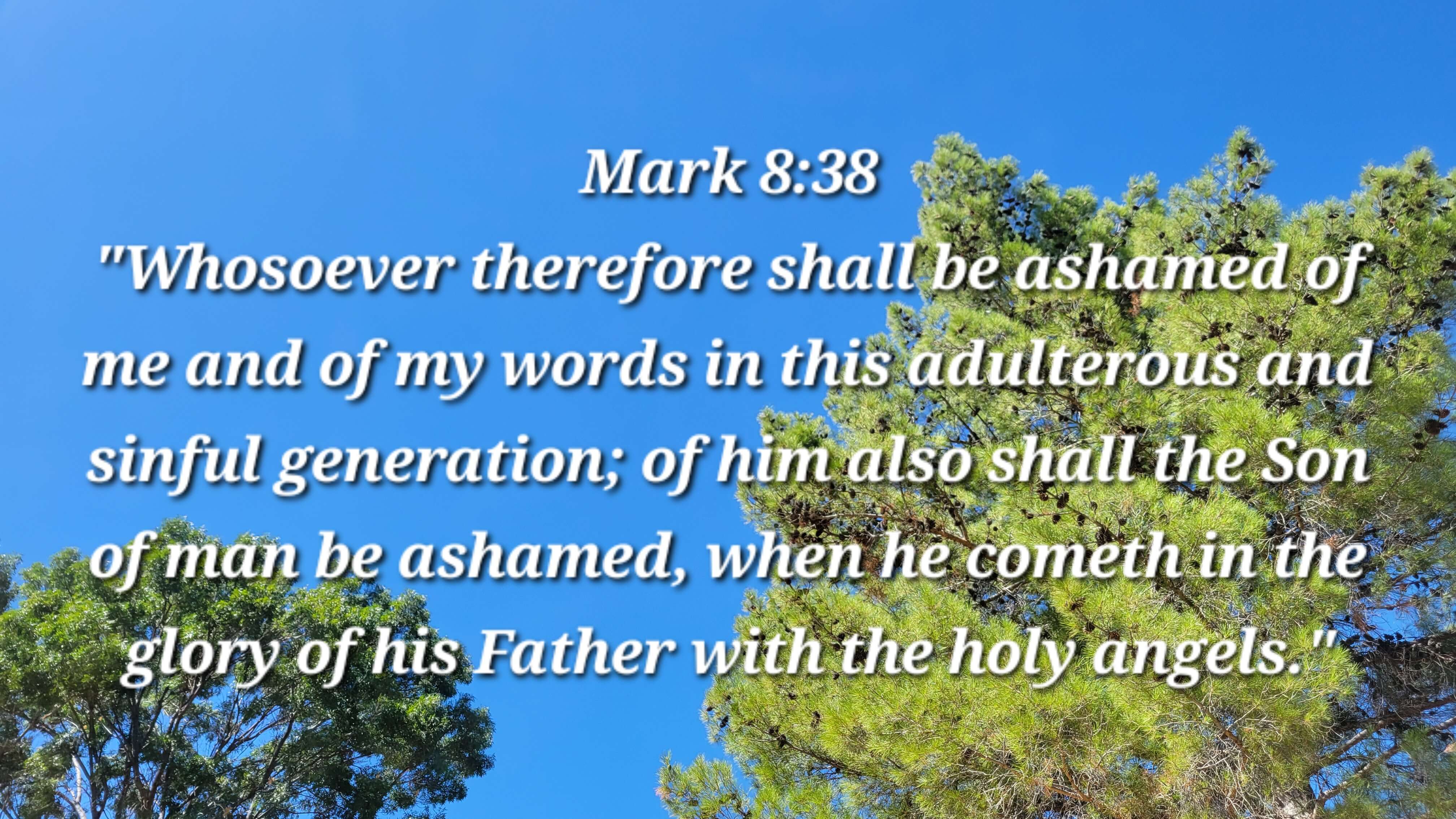 Mark 8:38