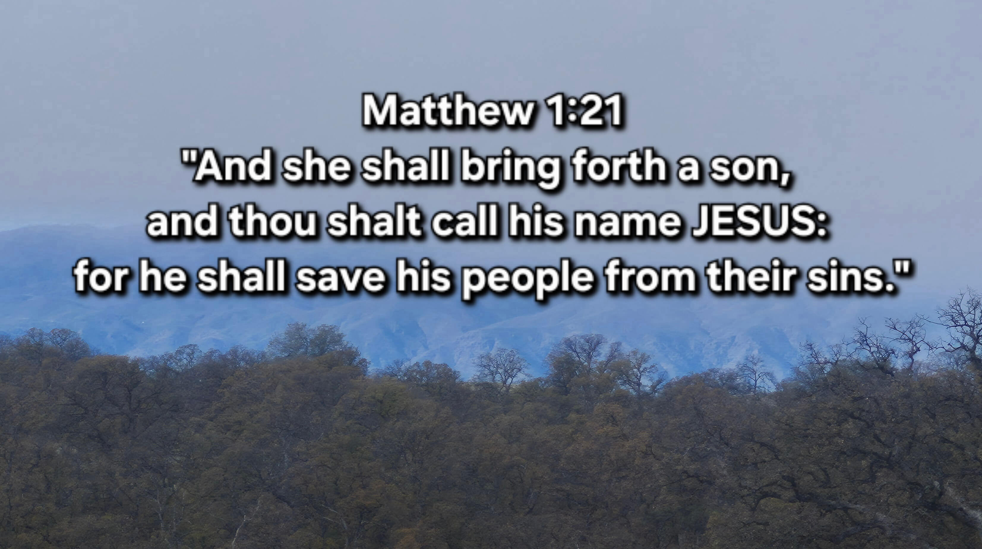 matthew 1 21